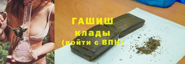гидра Абаза