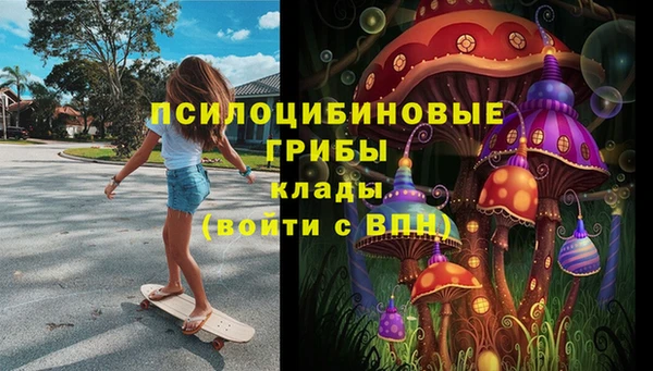 амф Абинск