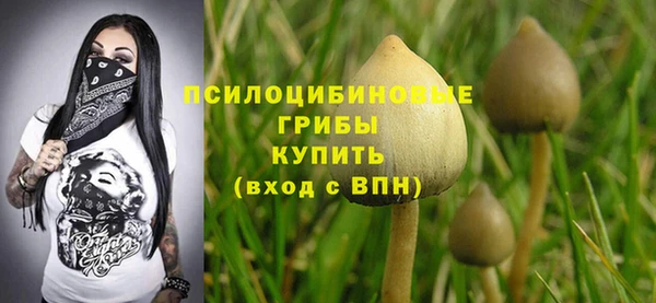 гидра Абаза
