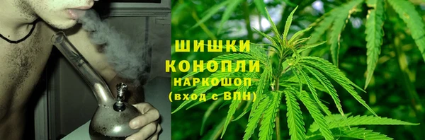дурь Рославль
