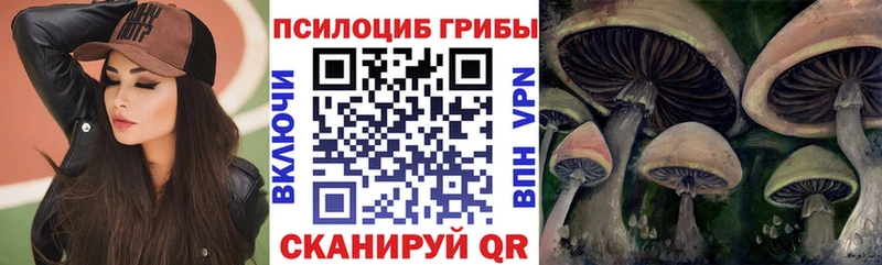 где купить Карабаново Галлюциногенные грибы Cubensis